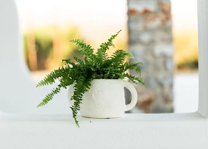 Isalos With Private Pool Villa Naxos City