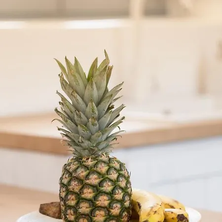 Isalos With Private Pool Vila