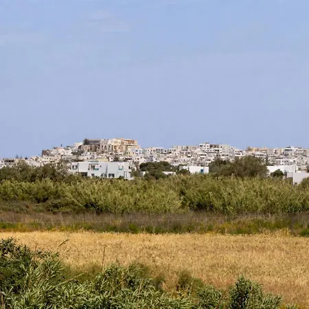 Villa Isalos With Private Pool Naxos City